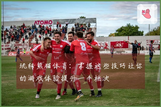 玩转熊猫体育：掌握这些技巧让你的游戏体验提升一个档次