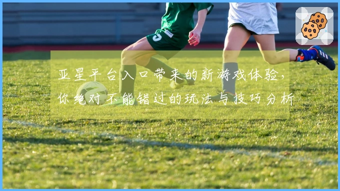 亚星平台入口带来的新游戏体验，你绝对不能错过的玩法与技巧分析