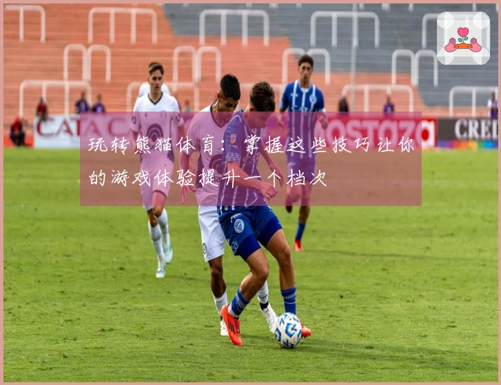 玩转熊猫体育：掌握这些技巧让你的游戏体验提升一个档次