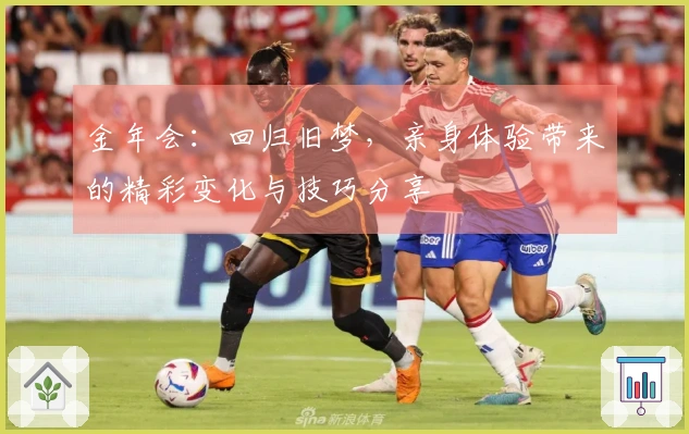 金年会：回归旧梦，亲身体验带来的精彩变化与技巧分享